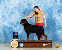 Rottweiler #21 Fri BOB Judge Ted Eubanks