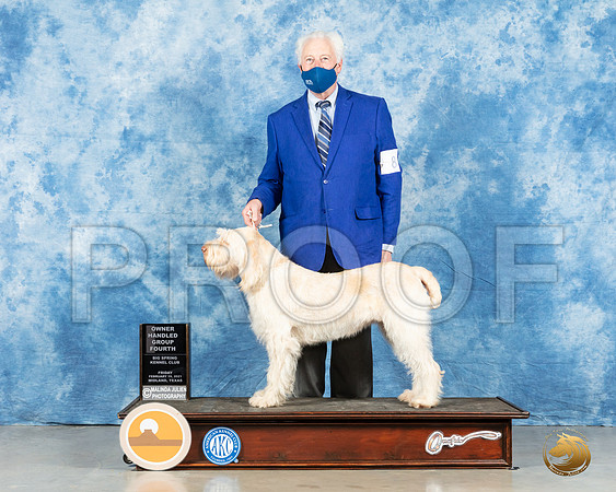 Spinone #8 Fri OHG4 Judge Dr Erik Liebs_MMJ_0478_Mdlnd21_HR3