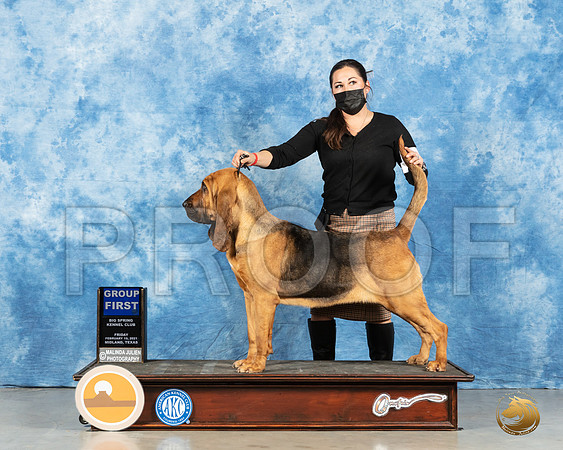 Bloodhound #10 Fri G1 Judge Denny Mounce_MMJ_0611_Mdlnd21_HR3
