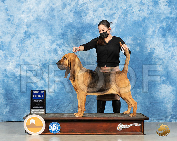Bloodhound #10 Fri G1 Judge Denny Mounce_MMJ_0612_Mdlnd21_HR3