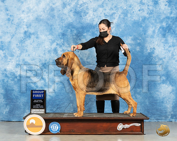 Bloodhound #10 Fri G1 Judge Denny Mounce_MMJ_0614_Mdlnd21_HR3