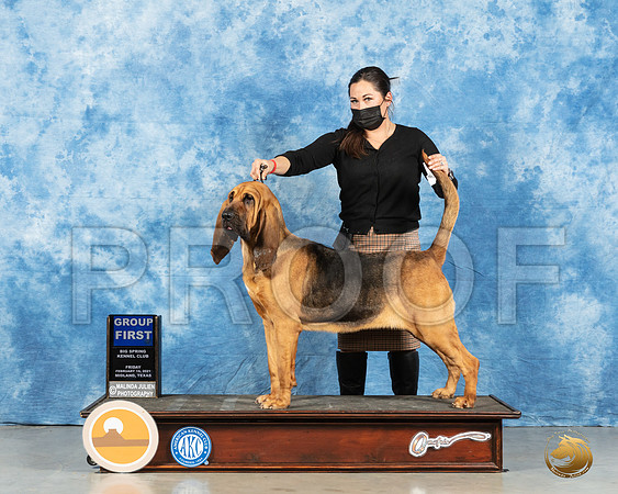 Bloodhound #10 Fri G1 Judge Denny Mounce_MMJ_0615_Mdlnd21_HR3