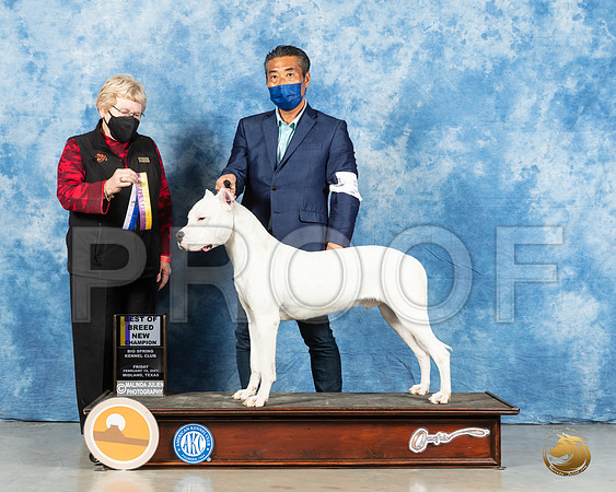 Dogo Argentino #5 Fri BOB Judge Judith Brown_MMJ_0647_Mdlnd21_HR3