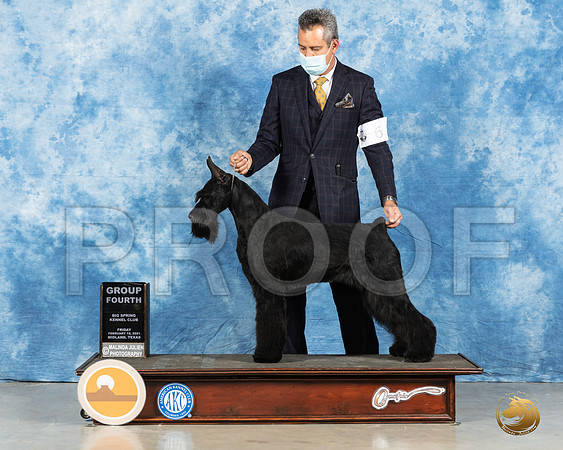 Giant Schnauzer #6 Fri G4 Judge Steve Keating_MMJ_0779e_Mdlnd21_HR3