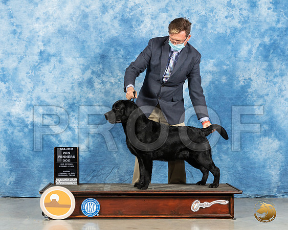 Labrador Retriever #55 Fri WD Judge Kimberly Meredith_MMJ_0651_Mdlnd21_HR3