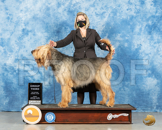 Otterhound #5 Fri G3 Judge Denny Mounce_MMJ_0617_Mdlnd21_HR3