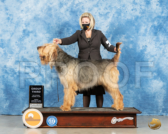 Otterhound #5 Fri G3 Judge Denny Mounce_MMJ_0618_Mdlnd21_HR3