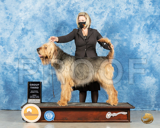Otterhound #5 Fri G3 Judge Denny Mounce_MMJ_0620_Mdlnd21_HR3