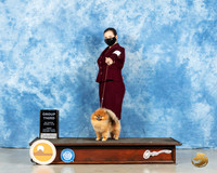 Pomeranian #31 Fri G3 Judge Carolyn Herbel