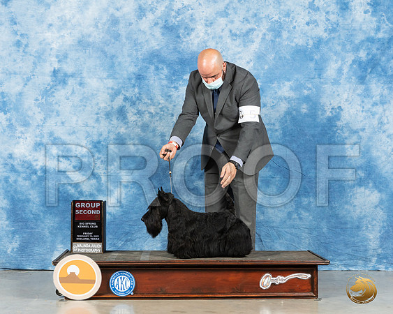 Scottish Terrier #5 Fri G2 Judge Peggy Lloyd_MMJ_0675_Mdlnd21_HR3