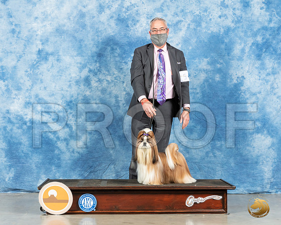 Shih Tzu #5 Fri G1 Judge Carolyn Herbel_MMJ_0714_Mdlnd21_HR3