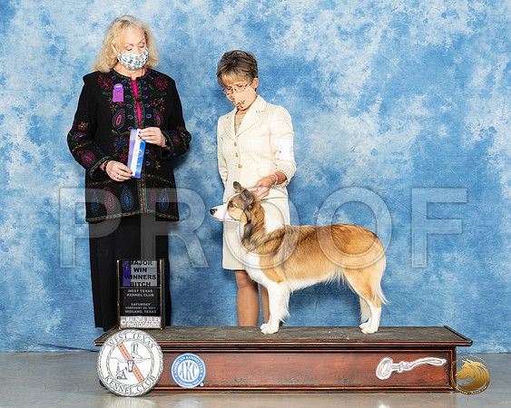 Border Collie #6 Sat BOW Judge Kimberly Meredith_MMJ_0971_Mdlnd21_HR3