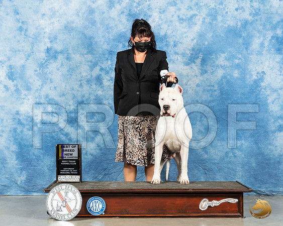 Dogo Argentino #15 Sat BOB Judge Dr Erik Liebes_MMJ_0957_Mdlnd21_HR3