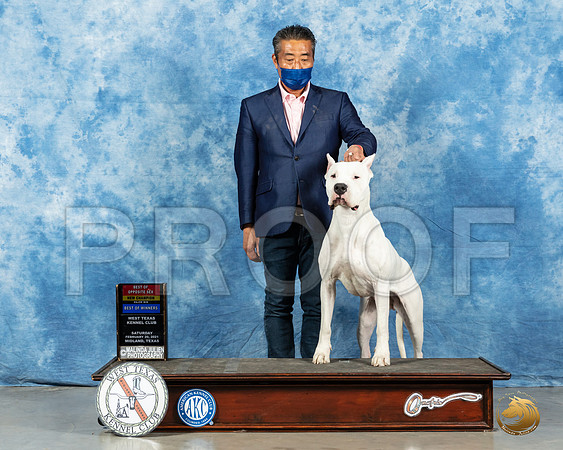 Dogo Argentino #10 BOS Sat Judge Dr Erik Liebes_MMJ_1025_Mdlnd21_HR3