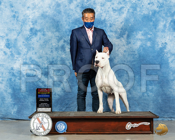 Dogo Argentino #10 BOS Sat Judge Dr Erik Liebes_MMJ_1029_Mdlnd21_HR3