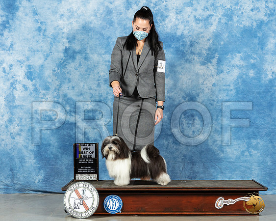 Havanese #5 Sat BOB Judge Ted Eubanks_MMJ_1022_Mdlnd21_HR3