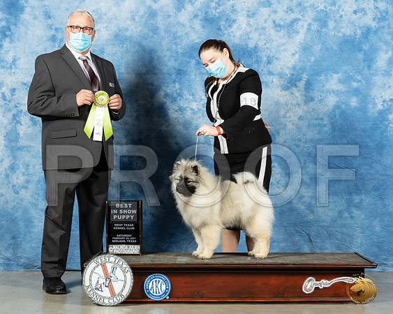 Keeshound #18 Sat BISP Judge John Booth_MMJ_1071_Mdlnd21_HR3