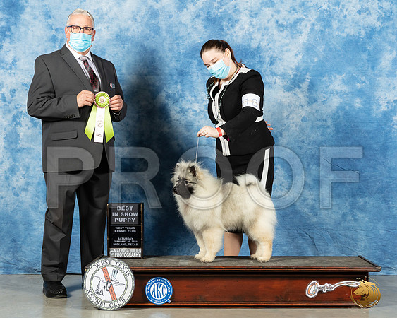 Keeshound #18 Sat BISP Judge John Booth_MMJ_1072_Mdlnd21_HR3