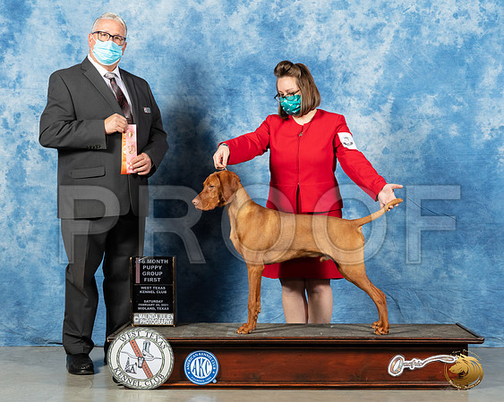 Vizsla #9 Sat 4to6G1 Judge John Booth_MMJ_1080_Mdlnd21_HR3