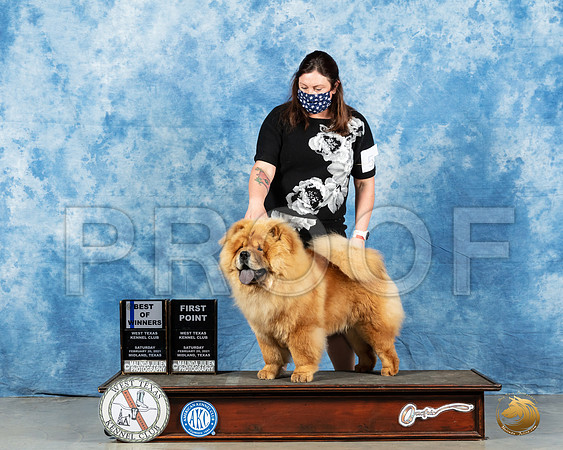 Chow #5 Sat BOW Judge Peggy Lloyd_MMJ_1092_Mdlnd21_HR3