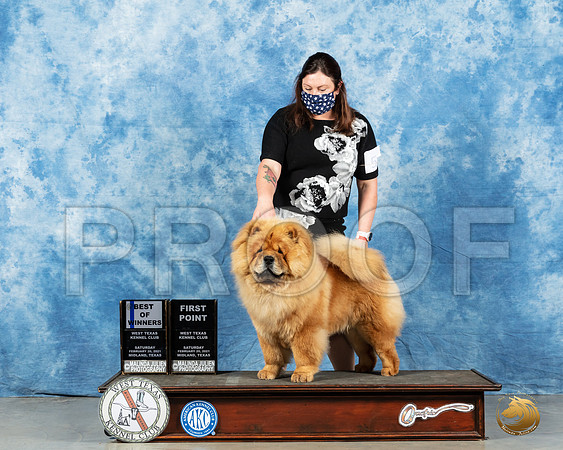 Chow #5 Sat BOW Judge Peggy Lloyd_MMJ_1096_Mdlnd21_HR3