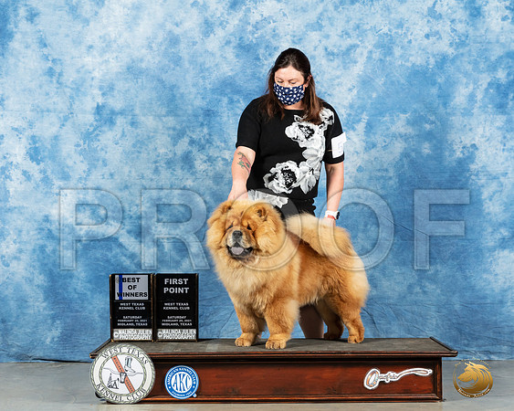 Chow #5 Sat BOW Judge Peggy Lloyd_MMJ_1093_Mdlnd21_HR3
