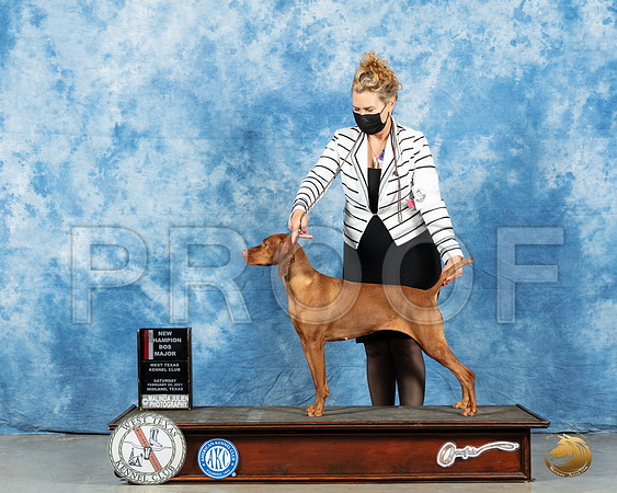 Vizsla #40 Sat BOS Judge Nancy Simmons_MMJ_1110_Mdlnd21_HR3
