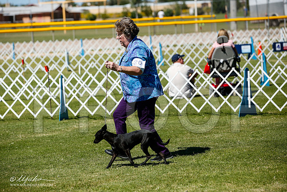_JJ_8437-AlamogordoOct2014-HR3