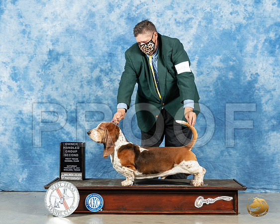 Basset Hound #7 OHG2 Judge Peggy Lloyd_MMJ_1248_Mdlnd21_HR3