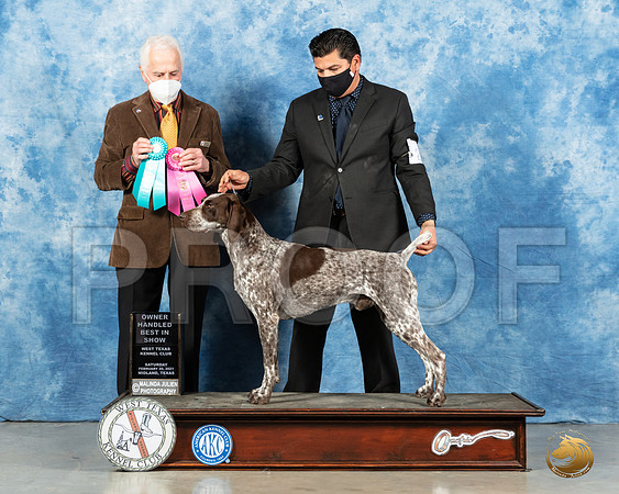 German Shorthaired Dog #25 Sat OHBIS Judge Ted Eubanks_MMJ_1439_Mdlnd21_HR3