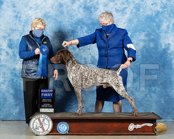 German Shorthaired Pointer #7 Sat G1 Judge Judith Brown_MMJ_1628_Mdlnd21_HR3