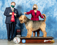 Otterhound #5 Sat G2 Judge Harold Tatro