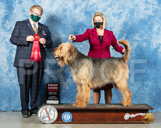 Otterhound #5 Sat G2 Judge Harold Tatro_MMJ_1314_Mdlnd21_HR3
