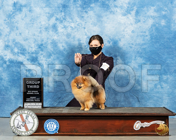 Pomeranian #31 Sat G3 Judge Carolyn Herbel_MMJ_1518_Mdlnd21_HR3