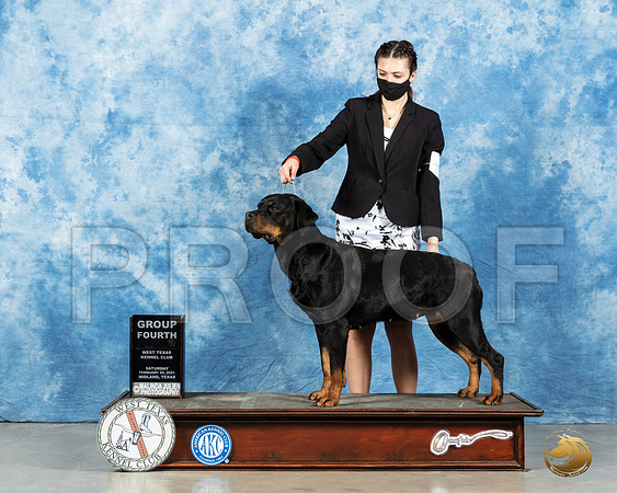 Rottweiler #10 Sat OHG4 Judge Peggy Lloyd_MMJ_1356_Mdlnd21_HR3