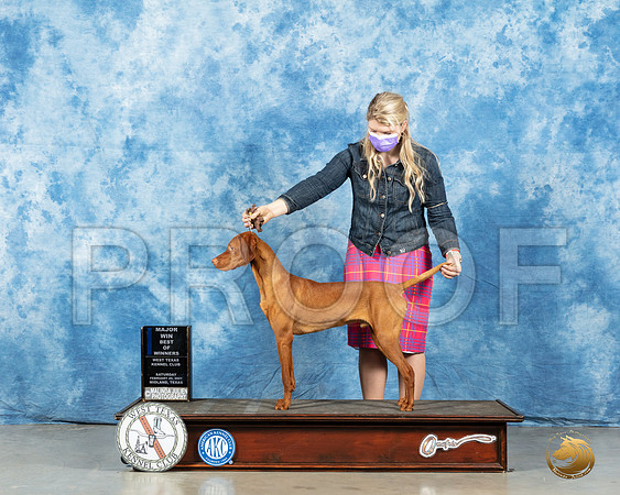 Vizsla #25 Sat BOW Judge Nancy Simmons_MMJ_1182_Mdlnd21_HR3