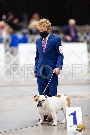 Bulldog #6 Sat Group Rings__MJ_1374_Mdlnd21_HR3