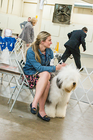 Old English Sheepdog Rings 3_JJL_0660_Fayetteville2024_HR3