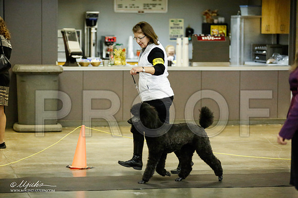 _JJ_5801-BeltonJan2015IABCA-HR3