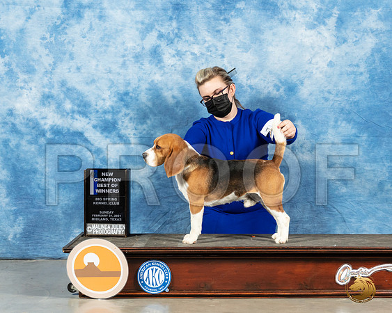 Beagle 15 #15 Sun BOB Judge Kimberly Meredith_MMJ_1217_Mdlnd21_HR3