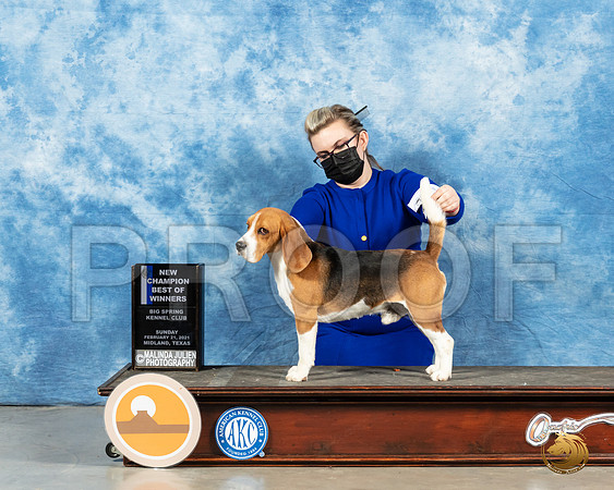 Beagle 15 #15 Sun BOB Judge Kimberly Meredith_MMJ_1218_Mdlnd21_HR3