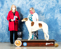 Borzoi #16 Sun BOW Judge Kimberly Meredith
