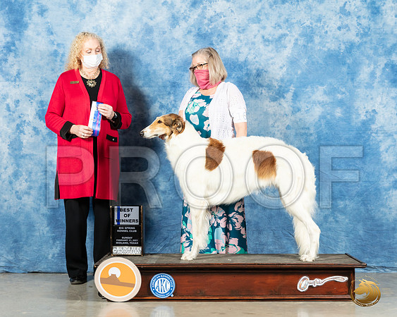 Borzoi #16 Sun BOW Judge Kimberly Meredith_MMJ_1353_Mdlnd21_HR3
