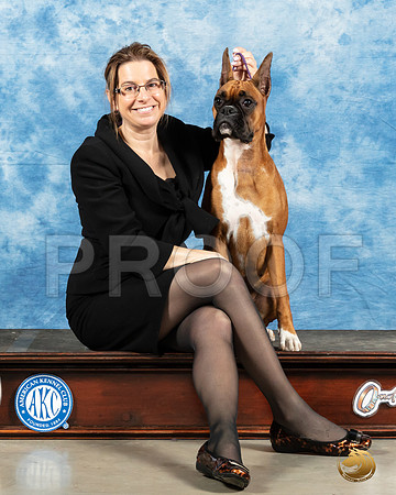 Boxer #30 Sun_MMJ_1253_Mdlnd21_HR3