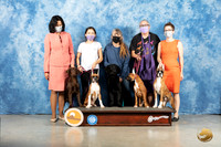 Boxer & Flat Coats Group