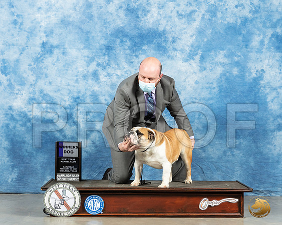 Bulldog #19 Sat BOB Judge Dr Steve Keating_MMJ_1814_Mdlnd21_HR3