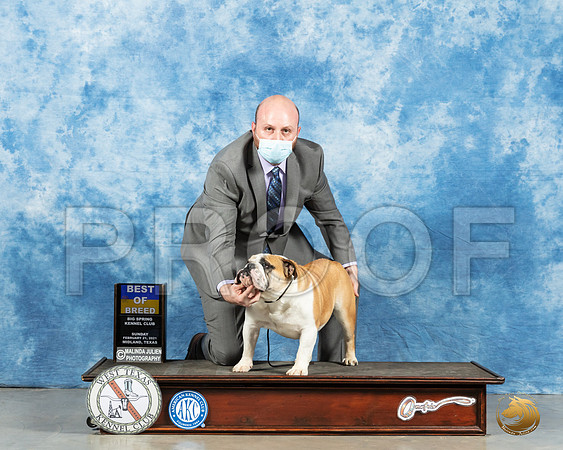 Bulldog #19 Sun BOW Judge Ted Eubanks_MMJ_1808_Mdlnd21_HR3
