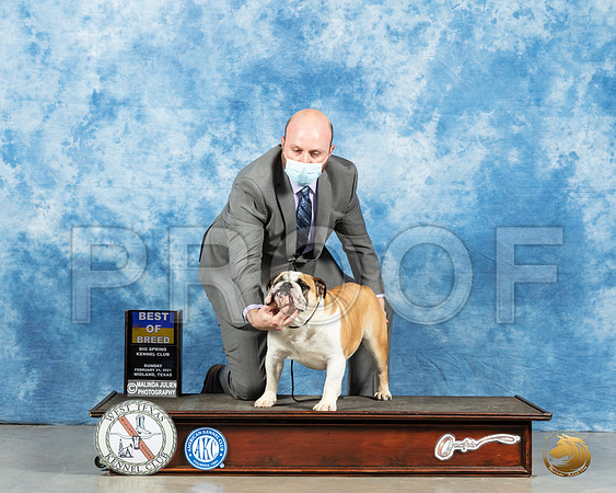 Bulldog #19 Sun BOW Judge Ted Eubanks_MMJ_1810_Mdlnd21_HR3