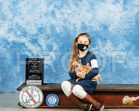 Chihuahua Smooth #26 Sun WB Judge Dr Steve Keating_MMJ_1831_Mdlnd21_HR3