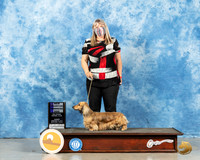 Dachshund Long Coat #7 Sun WD Dual Champion Judge Dr Erik Liebes